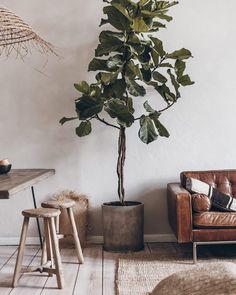 my scandinavian home: A Calm and Relaxed Berlin Oasis, Inspired by The Med!